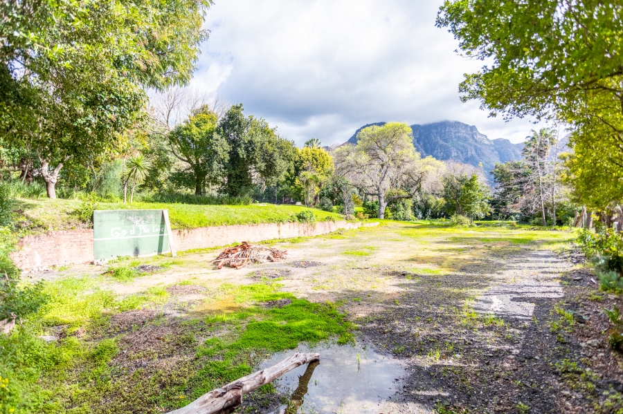 0 Bedroom Property for Sale in Bishopscourt Western Cape